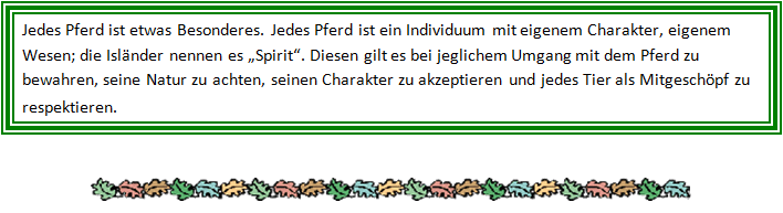 Spruch: Jedes Pferd ist etwas besonderes